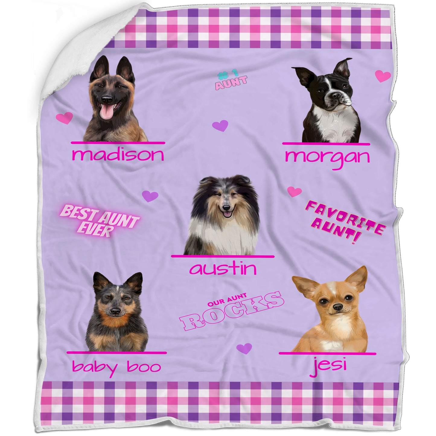 Personalized Favorite #1 Aunt Rocks Dog Cat Pets Blanket