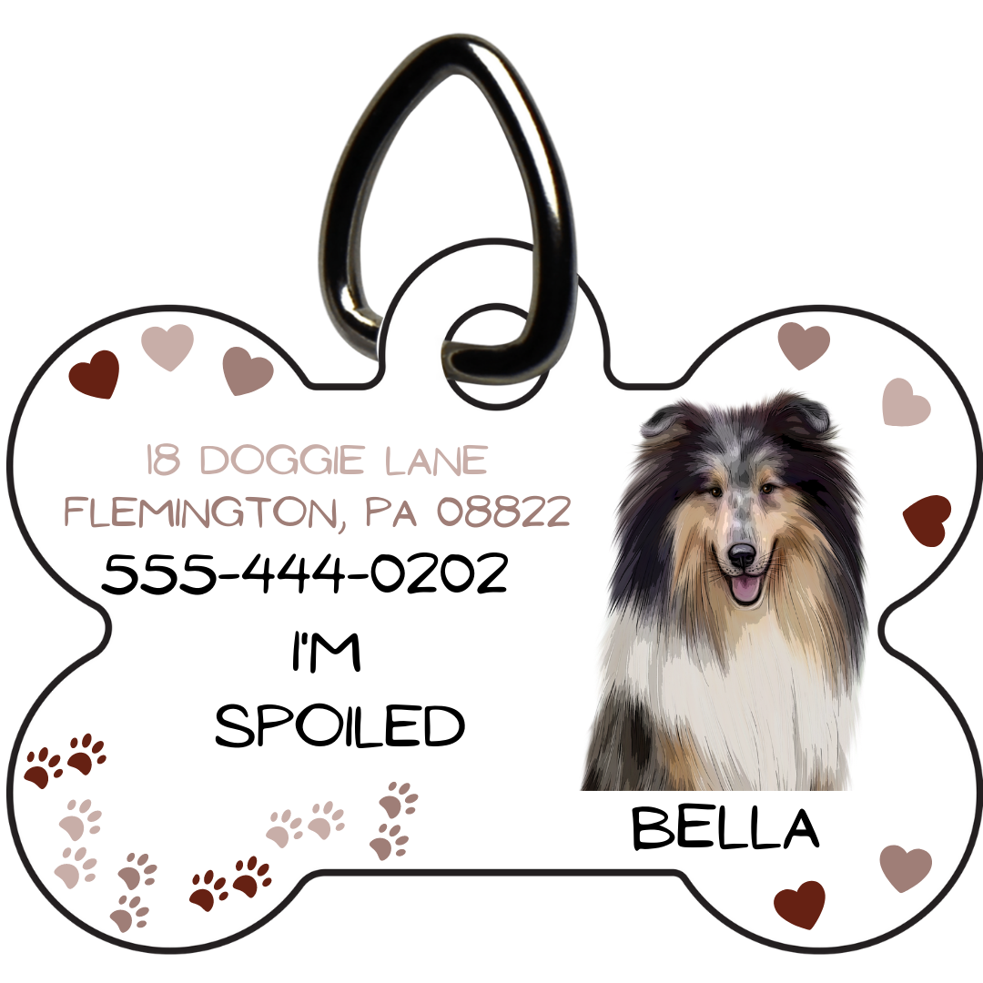 Personalized Pet Tag wtih Address and Phone Number