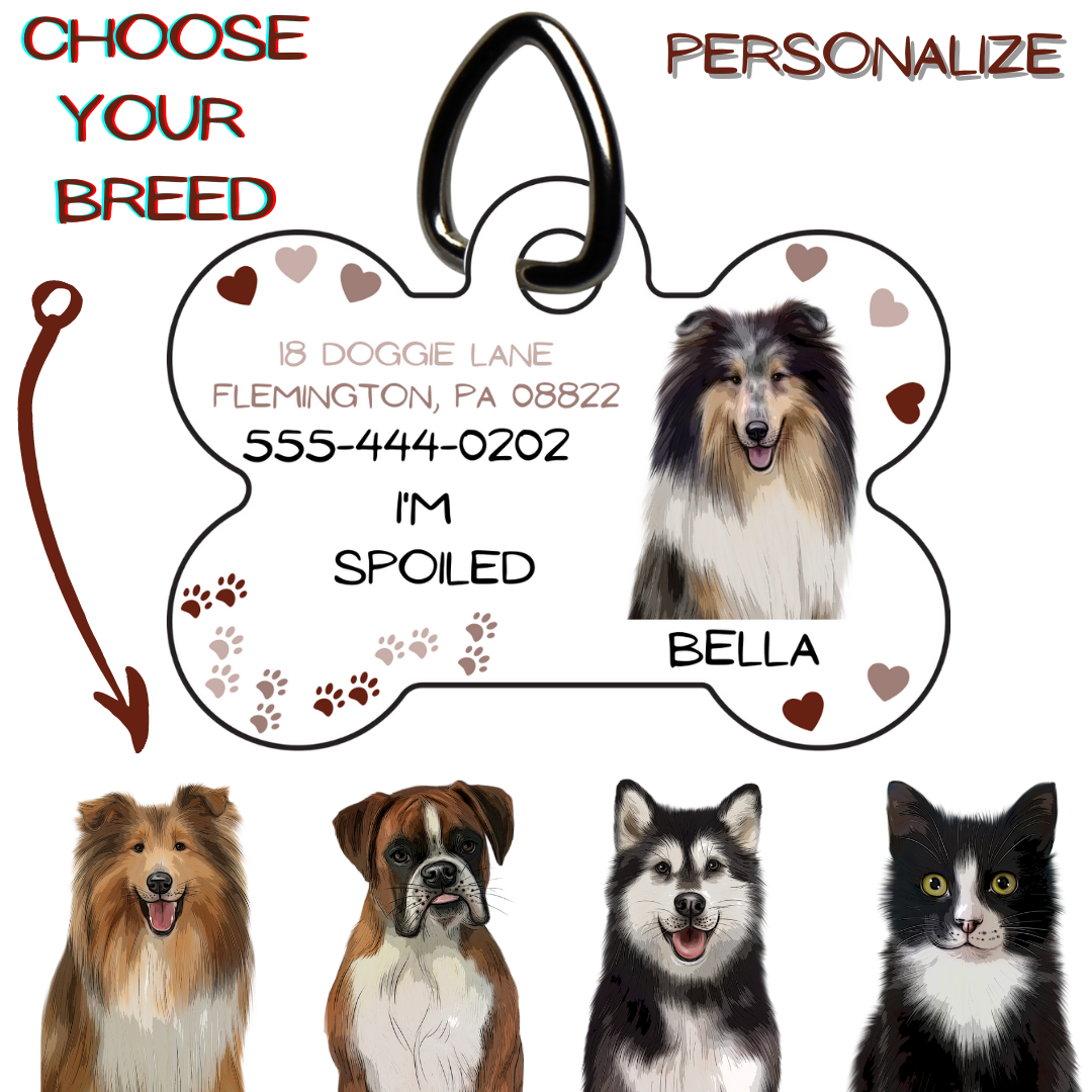 Personalized Pet Tag wtih Address and Phone Number