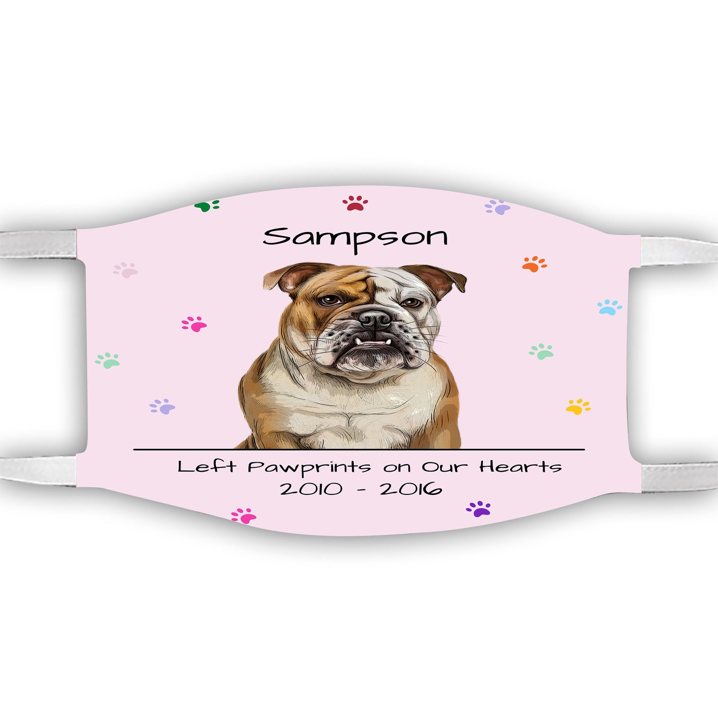 Personalized Dog Cat Pet Rainbow Pawprint Memorial Face Mask