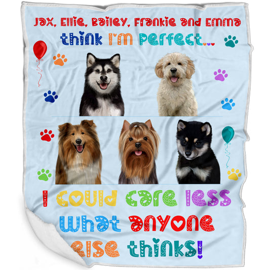 Personalized I am Perfect Images Dog Cat Pets Blanket 1 to 5 Pets