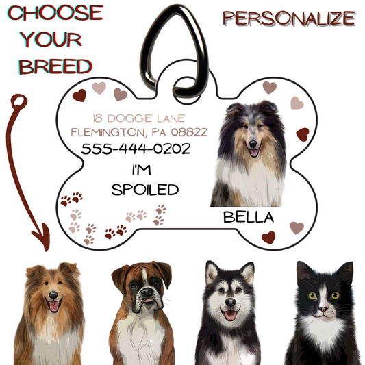 Personalized Pet Tag wtih Address and Phone Number