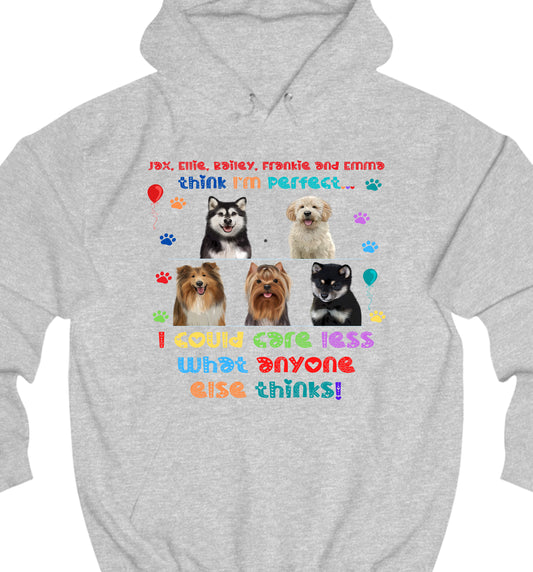 Personalized I am Perfect Images Dog Cat Pets Pullover Hoodies 1 to 5 Pets