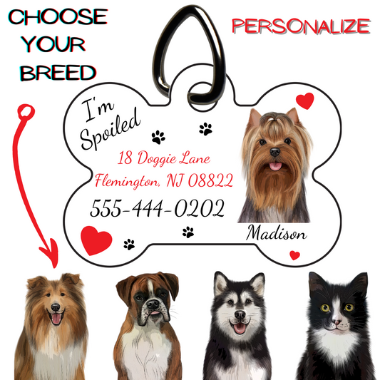 Personalized Pet Tag wtih Address and Phone Number